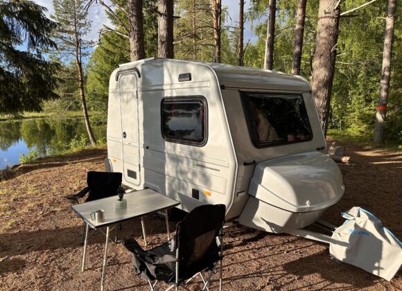 Pallanite i Jädraås 24-06-14 19-48-54 4222