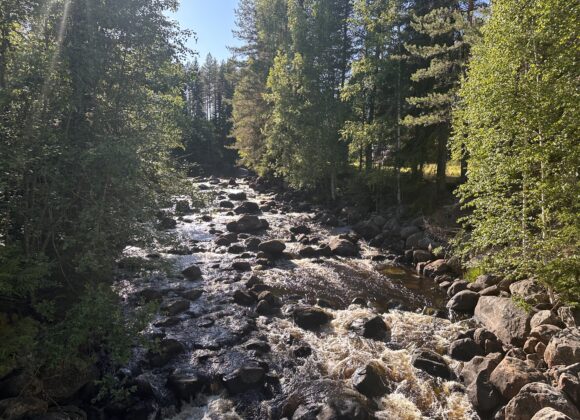 Bresiljeån 24-06-20 18-21-12 4294