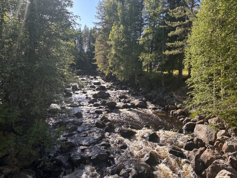 24-06-20 18-21-12 4294