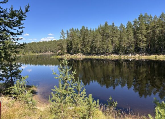 Särna/Idre Naturcamping img_5665.jpg