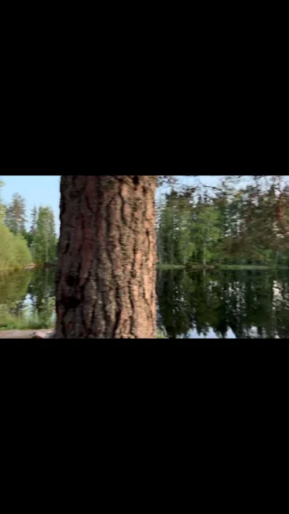 Midsommar ute i det fria. #fritidsvagnen #freedomcaravans #niewiadów #husvagn #vildmark #husvagnochcamping