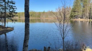 Swedish woods #fritidsvagnen #niewiadów #husvagn #husvagn #poksi